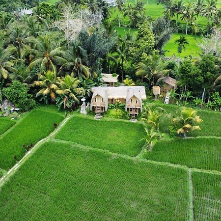 Kawig Bamboo House - Ricefield View, Eco Bamboo Home 탐파크시링 외부 사진