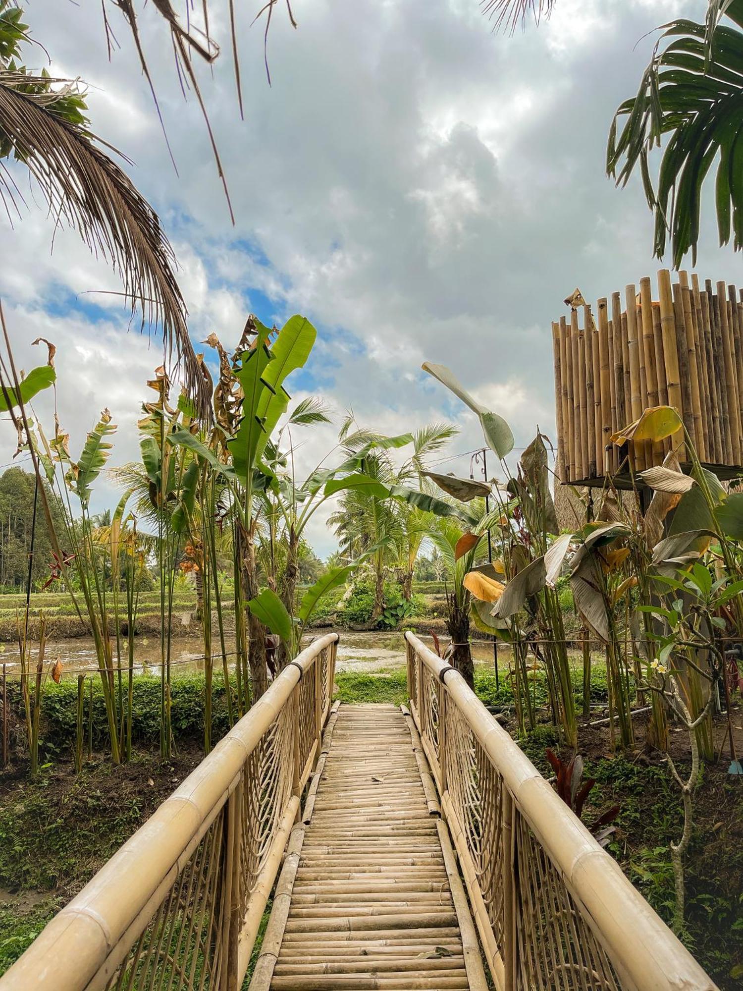 Kawig Bamboo House - Ricefield View, Eco Bamboo Home 탐파크시링 외부 사진
