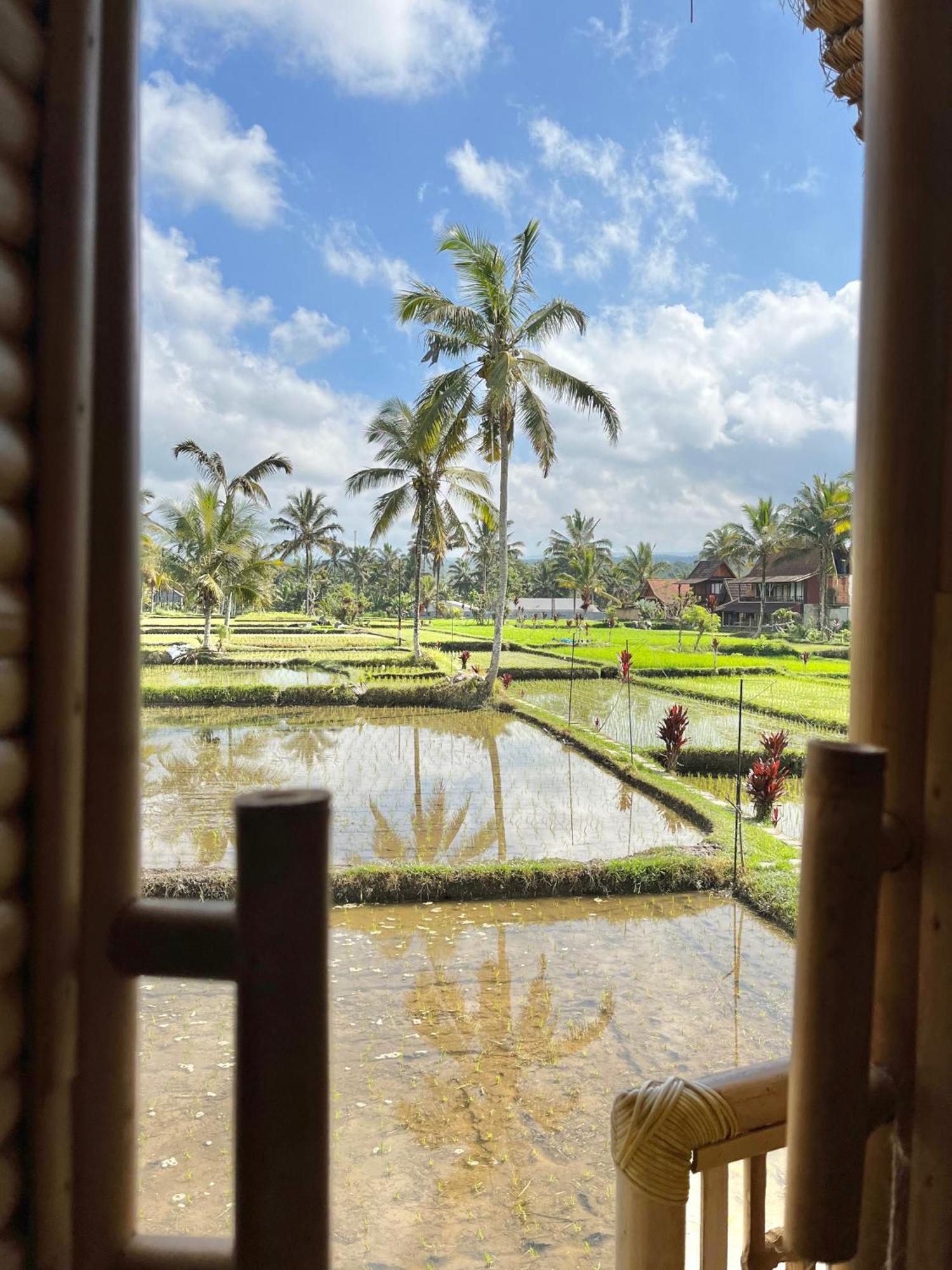 Kawig Bamboo House - Ricefield View, Eco Bamboo Home 탐파크시링 외부 사진
