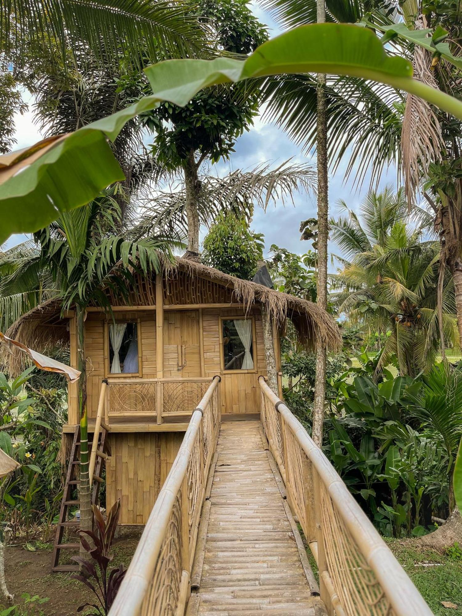 Kawig Bamboo House - Ricefield View, Eco Bamboo Home 탐파크시링 외부 사진