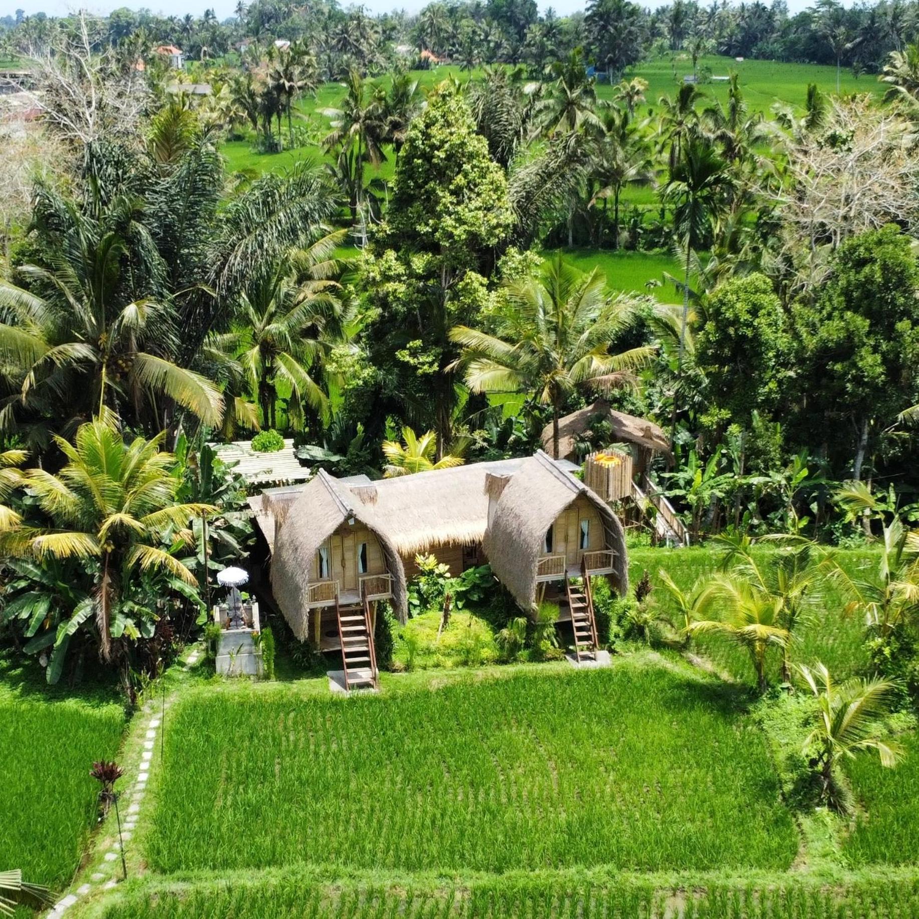 Kawig Bamboo House - Ricefield View, Eco Bamboo Home 탐파크시링 외부 사진