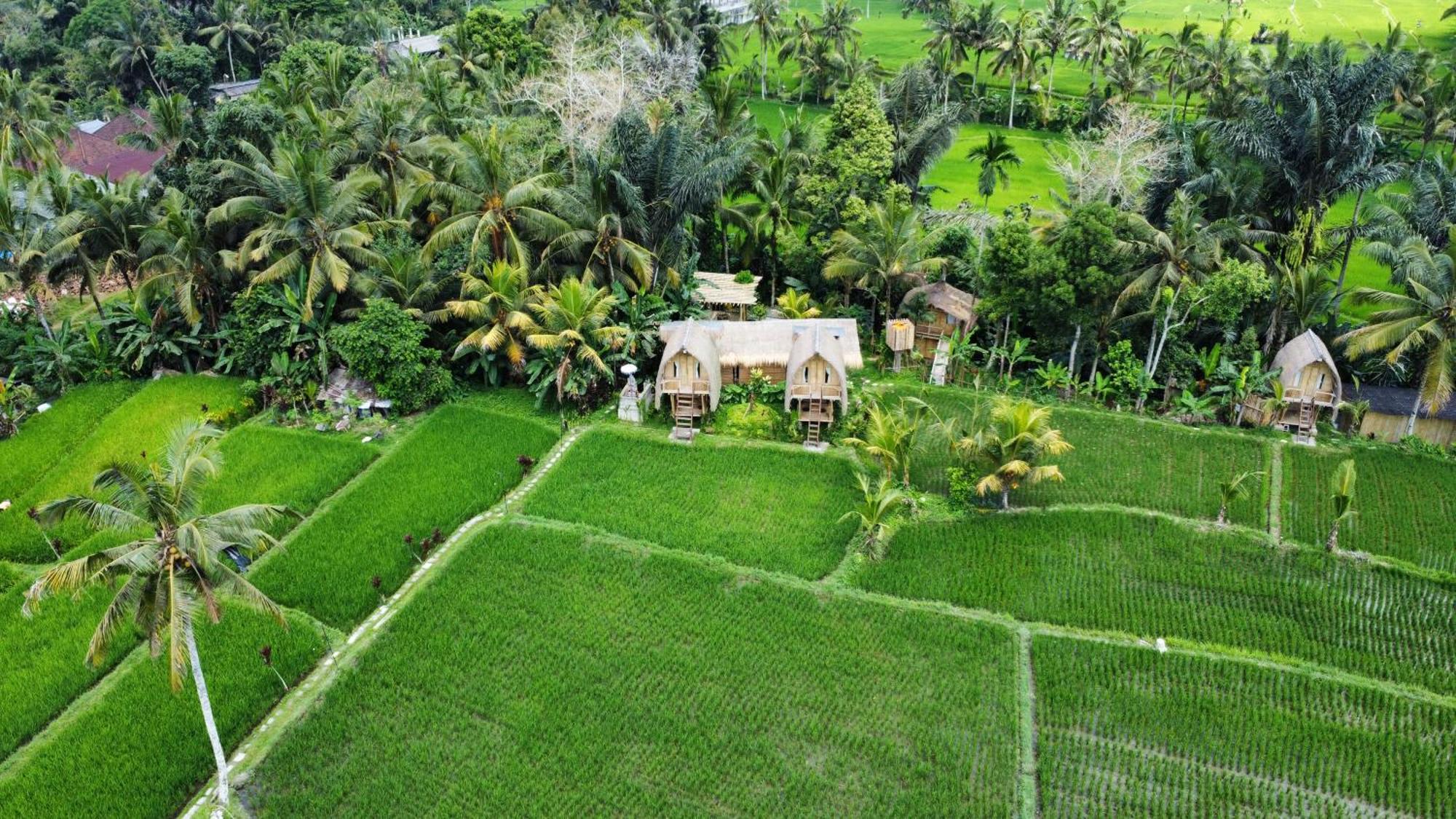 Kawig Bamboo House - Ricefield View, Eco Bamboo Home 탐파크시링 외부 사진