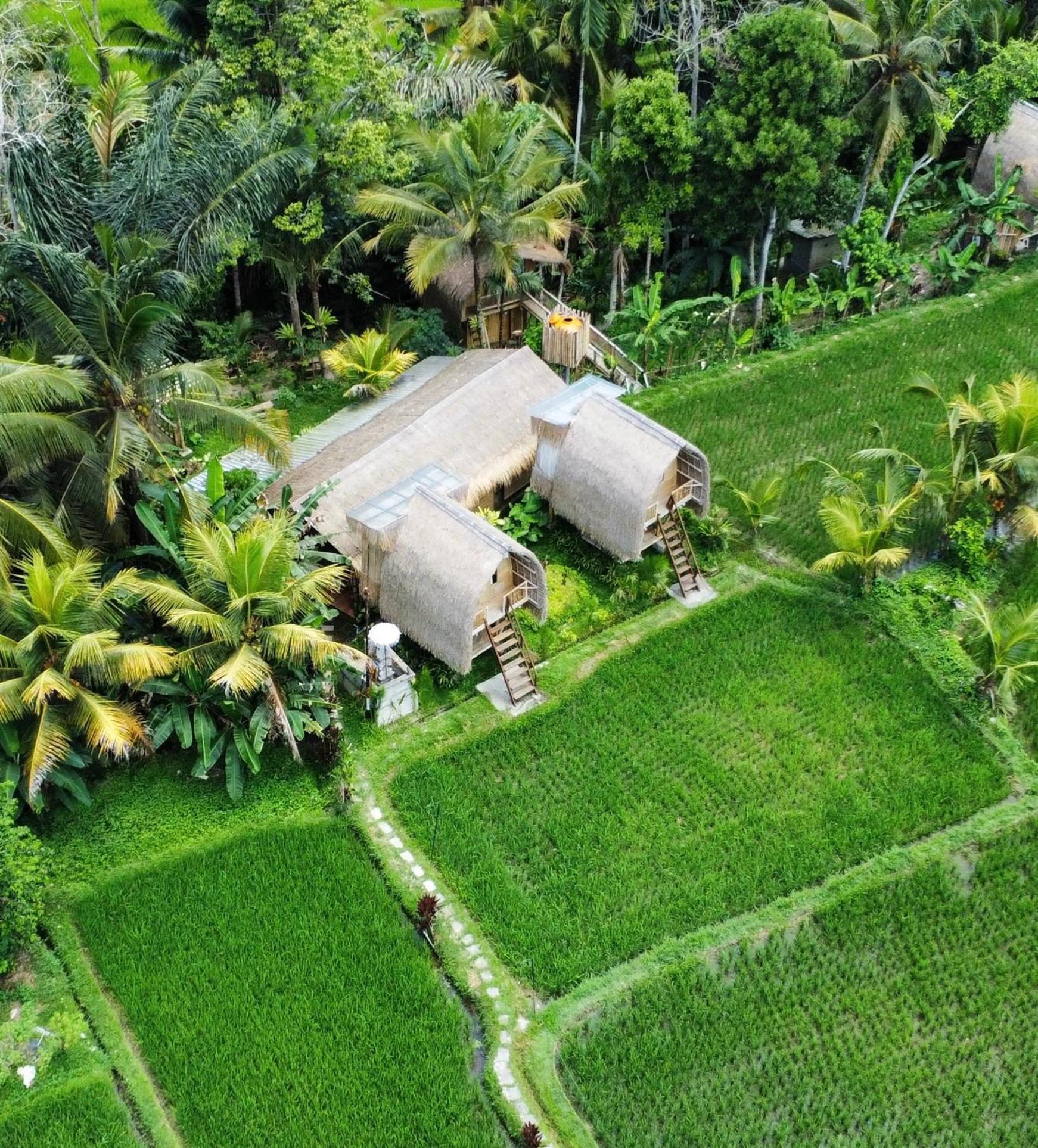 Kawig Bamboo House - Ricefield View, Eco Bamboo Home 탐파크시링 외부 사진