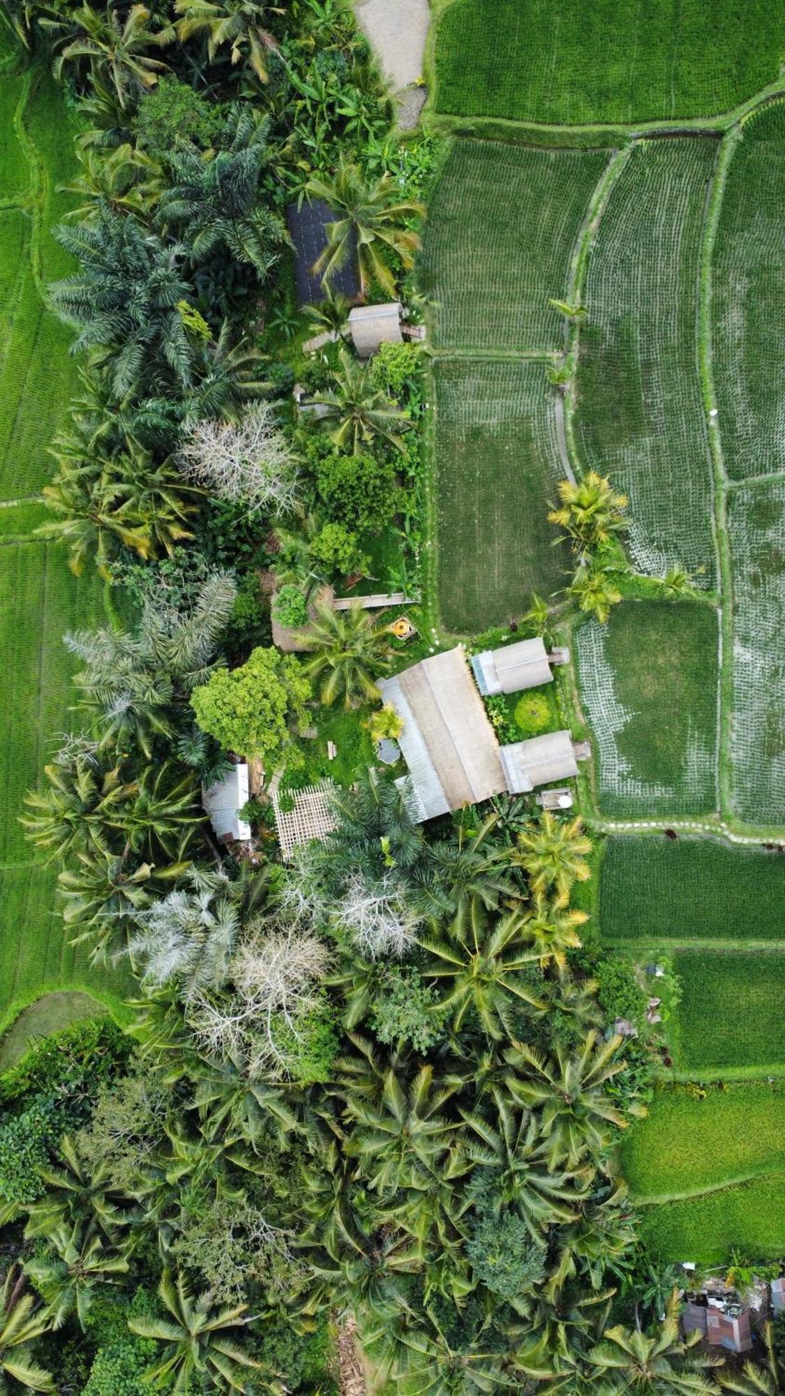 Kawig Bamboo House - Ricefield View, Eco Bamboo Home 탐파크시링 외부 사진